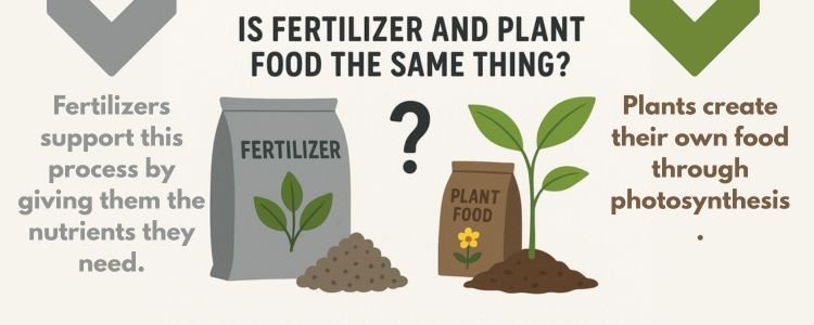 Is Fertilizer and Plant Food the Same Thing