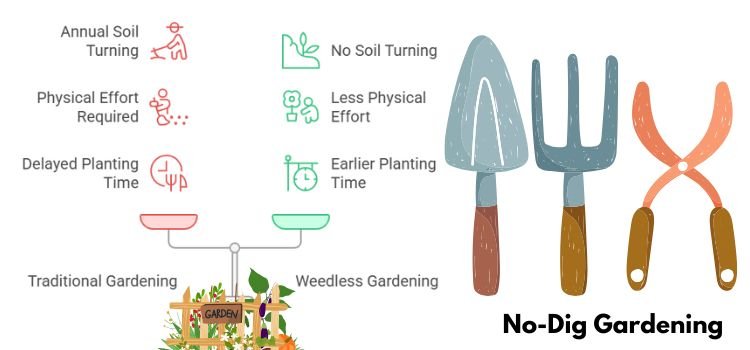 No-Dig Gardening