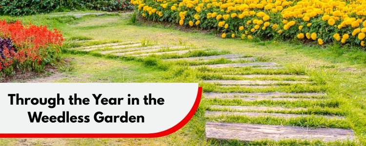 Through the Year in the Weedless Garden